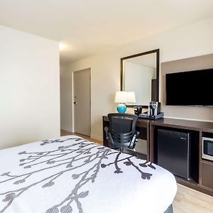 Chambre Accessible aux Personnes à Mobilité Réduite Lit Queen-Size au Premier Étage