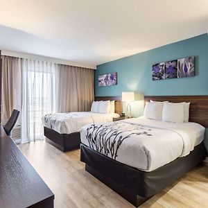 Chambre Standarde